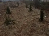 Продается участок, Гродненская область, Лидский район, д.Докудово, фотография 4
