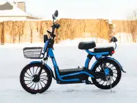 Электровелосипед AVM E-ALFA DELTA, фотография 5