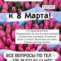 Тюльпаны к 14 февраля и 8 марта