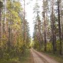 Участок с домом в красивейшем уголке природы., фотография 2