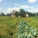 Продам кирпичный дом г. Слуцк, (д. Михейки) Большой участок., фотография 4