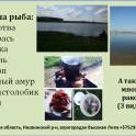 Озеро Высокая Липа, фотография 12