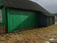 Налибокская пуща д. Клетище. Минская обл, Столбцовский р-н, фотография 4