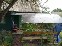 Продаётся Дача Деражня СТ Связист, фотография 2