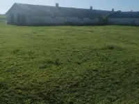 Продам лпх, фотография 2