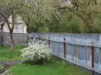 Аренда дома, фотография 10