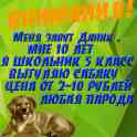Мне 10! Выгул сабак любой породы!!!