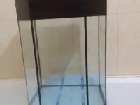 Аквариум, фотография 2
