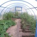 Дачу продам, Домашаны, фотография 7