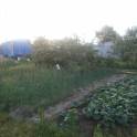 Дачу продам, Домашаны, фотография 10