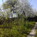 Продам дом в д. Мицкевичи, фотография 4