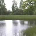 продам дом с участком, фотография 9