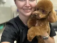 Вакансия грумер