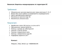 Водитель международник, фотография 2