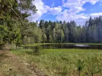 Сдаю дачуна лето недалеко от Раубич, район, фотография 5
