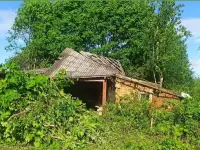 Земельный участок на территории Нац.парка, на берегу оз. Высокое!, фотография 4