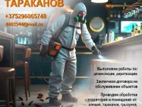 Уничтожение клещей, тараканов, крыс.