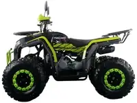 Квадроцикл racer freelander pro200 xmr (мотокомплект), фотография 4