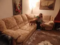 Диван угловой, фотография 6