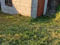 Дом с участком, Гродненская обл, гп. Большая Берестовица, фотография 7