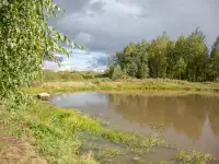 Срочно участок 8 сот в ст Ручеек 18 км от МКАД, фотография 5