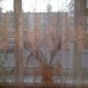 Продам 2-х квартиру, улица северный 47, фотография 3