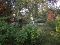 Продажа дачи, обл. Ветковский р-н д.Рудня-Споницкая., фотография 9
