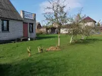 Продается дом и участок 10 соток в ст Аистово Минского района, фотография 8
