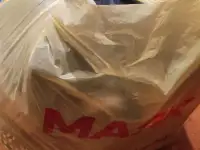 Одежда