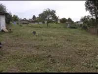 Земельный участок с домом, Селяховская ул, деревня Селяхи, Чернинский сельсовет, район,, фотография 6