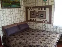 Уютный домик на берегу озера с мангалом и лодкой, посуточно., фотография 10