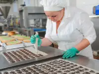Открыть кондитерское производство