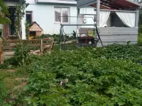 Продам дом в 15 км от Минска, область, , Горанский с/с, а/г Новоселье ,ул. Поддубная 8