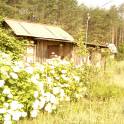 Летний домик с участком., фотография 2