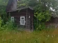 Дом с участком, д. Коники