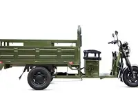 Грузовой электротрицикл rutrike d4 next 1800 60v1200w, фотография 12