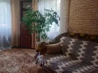 Сдам комнату, Степянка, Подлесная 33, фотография 2