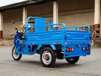 Грузовой электротрицикл AVM Cargo 1500, фотография 8