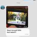 Среднеазиатская овчарка, фотография 4