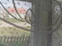 Продается 3-х комнатная квартира в центре Городка без удобств, фотография 9