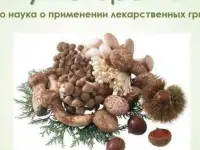 Фунготерапия - для снижения веса, решения проблем хронических заболеваний и поддержания здоровья., фотография 4