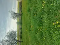 Продам участок с фундаментом, Жилевщина
