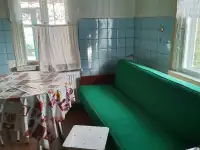 Частный дом, Гродненская обл. Ошмянский р-н. Гольшаны, ул. Замковая, 22, фотография 6