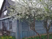 Продам жилой дом Чашникский район, д. Большие Смольянцы, фотография 5