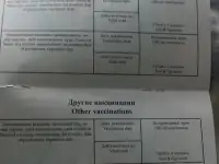 Котенок мей-кун, фотография 5