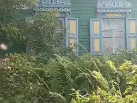 Продажа дома д. Дуяновка ул. Советская  д 94, фотография 3
