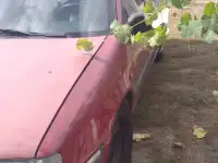 На запчасти Citroen, фотография 2