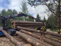 Сруб для дома, бани, фотография 5