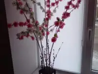 Вазы с колбами из дерева, фотография 7