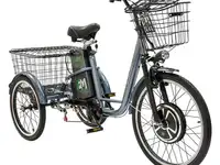 Электровелосипед трицикл e-motions kangoo-ru 700w, фотография 1